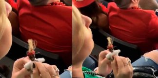#VIDEO | Mujer se vuelve viral al ser captada con un muñeco vudú contra Patrick Mahomes en el Super Bowl LIX