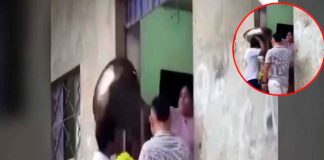 #VIDEO | Joven a va a conocer a su suegra y ésta lo recibe con un ‘ollazo’ en la cabeza