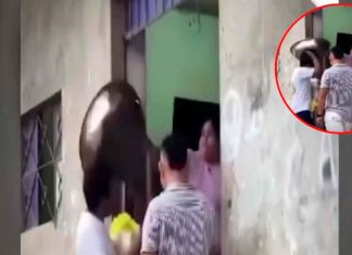 #VIDEO | Joven a va a conocer a su suegra y ésta lo recibe con un ‘ollazo’ en la cabeza