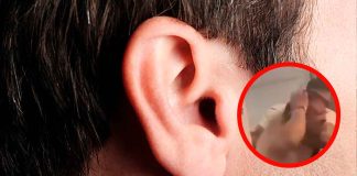 #Video | Tras el enfrentamiento a golpes entre dos hombres, uno de ellos arranca la oreja de su contrincante #México