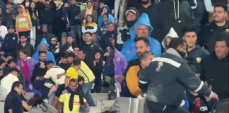 #VIDEO | Pelea masiva en el Pumas vs América deja varios detenidos