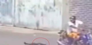 #VIDEO | En México: Sujeto amarró a una perrita a su motocicleta y la arrastró por varias calles