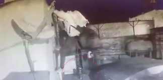 #VIDEO | #México: Ladrón intenta robar una casa y perrito le da su merecido