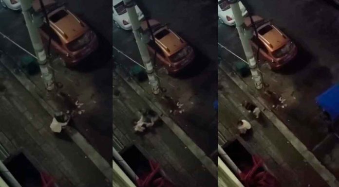 #Video | ¡Ahorita vas a llorar de verdad! Mujer abraza a perro callejero en busca de consuelo y éste termina mordiéndola