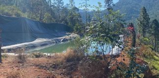 Tras cateo, asegura FGE predio relacionado en delitos contra el ambiente en el municipio de Madero