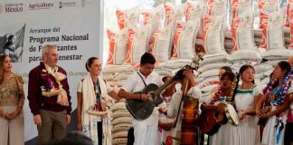 #VIDEO | Adelanto: arranque del programa de fertilizantes para el bienestar, Salvador Escalante, Michoacán