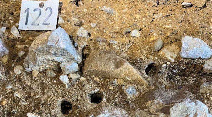 Hallazgo histórico: recuperan ADN humano de 25 mil años #Internacional