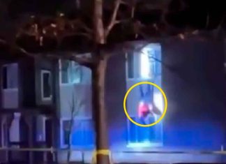 #VIDEO | Inmigrante salta desde un segundo piso para huir de la ICE, logran capturarlo #Internacional