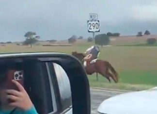 #VIDEO | Intenta escapar de policía a caballo, pero termina noqueado