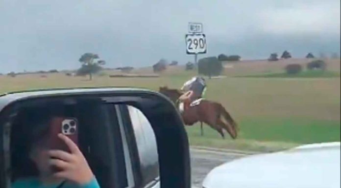 #VIDEO | Intenta escapar de policía a caballo, pero termina noqueado