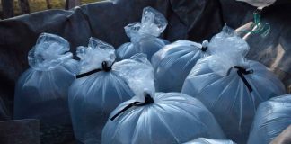 Gobierno de Morelia apoya a productores acuícolas de la zona rural