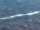 #Video // Pez remo, asociado con el “fin del mundo”, es hallado en una playa de México: ¿Presagio de desastre?