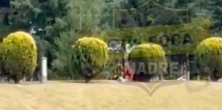 #Video // A plena luz del día: Pareja es captada teniendo intimidad en parque #México