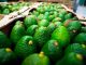En Michoacán 6 empaques de aguacate cuentan con certificado de buenas prácticas ambientales