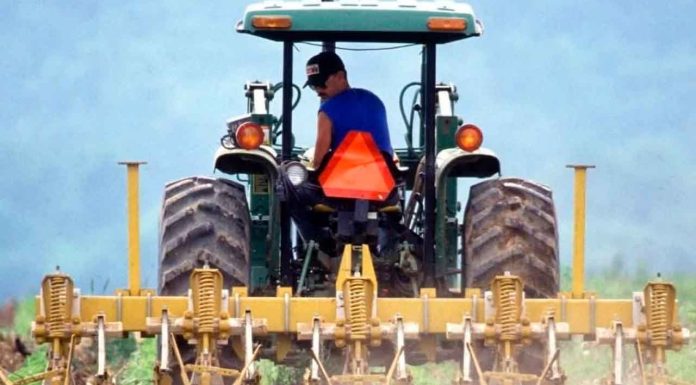 Expo Agroindustrial Michoacán 2025: Un impulso al campo con visión de futuro