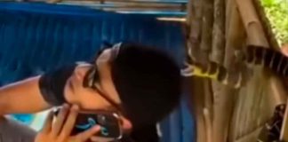 #Video // Joven estuvo a punto de morir por un ataque de serpiente; su gorra lo salvó