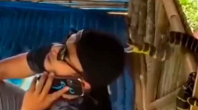 #Video // Joven estuvo a punto de morir por un ataque de serpiente; su gorra lo salvó