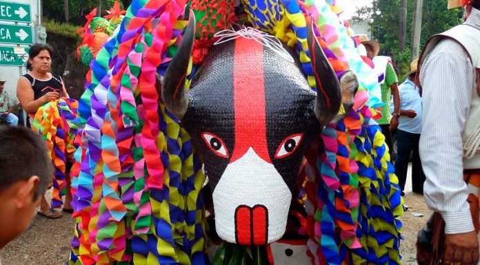 Gobierno de Morelia invita a artesanos a participar en el Carnaval del Torito de Petate 2025