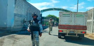 Fuerzas estatales y federales vigilan Tianguis Limonero de Apatzingán: SSP