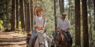 #Imágenes | Disfruta del amor y la naturaleza en los Santuarios de la Mariposa Monarca