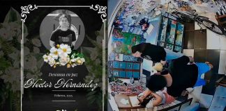 #Video | Veterinario es asesinado tras no poder salvar a una perrita; según la observación el animal murió por la obstrucción de un hueso