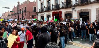 Veterinarios de Michoacán exigen leyes que les brinden protección para su labor