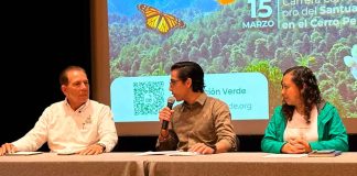 Zitácuaro en espera de construcción de un parador turístico en el santuario en el Cerro Pelón