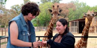 Enamórate en el Zoológico de Morelia