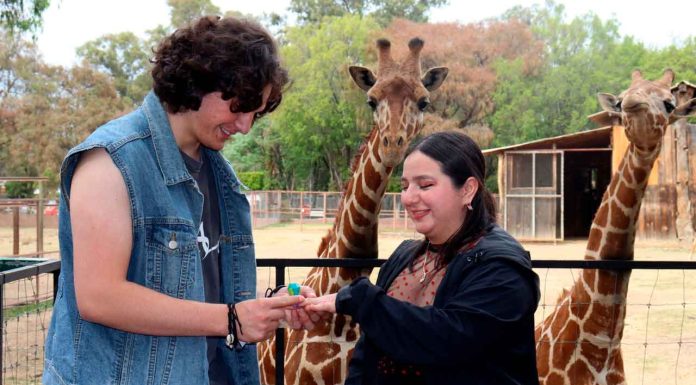 Enamórate en el Zoológico de Morelia