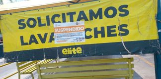 #Seguimiento #Video | Empleado de car wash en Monterrey enfrentará cargos por matar a un tlacuache; negocio sigue suspendido