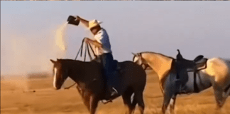 #Video // Un caballo llora la pérdida de su dueño al esparcir sus cenizas