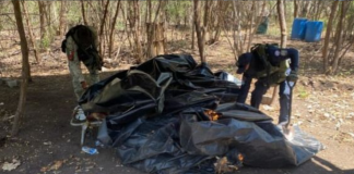 SSP y Defensa localizan campamento clandestino en Parácuaro