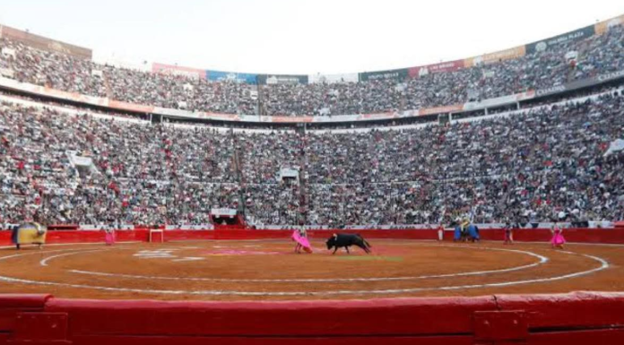 #VIDEO | Aprueban corridas taurinas libres de violencia