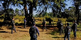 Dos criminales abatidos al enfrentarse contra la Guardia Nacional en Arroyo Colorado, Uruapan