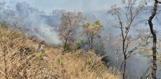 Controlado el incendio forestal en Jesús del Monte: Cofom