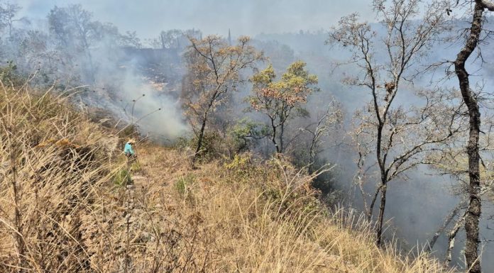 Controlado el incendio forestal en Jesús del Monte: Cofom