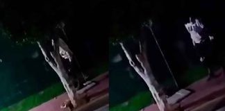 #Video | Denuncian a sujeto por matar y abusar sexualmente de perros en Chimalhuacán