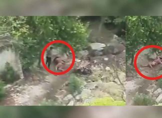 #VIDEO | Policía busca a hombre que golpeó brutalmente a una mujer en un terreno baldío