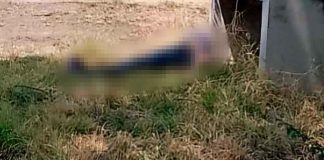 Localizan a hombre maniatado y baleado en Álvaro Obregón