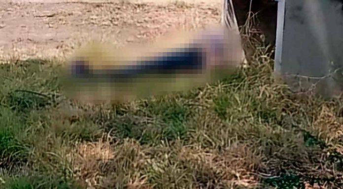 Localizan a hombre maniatado y baleado en Álvaro Obregón