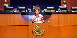 “La 4T cumple con apoyo constitucional a la juventud”: Celeste Ascencio