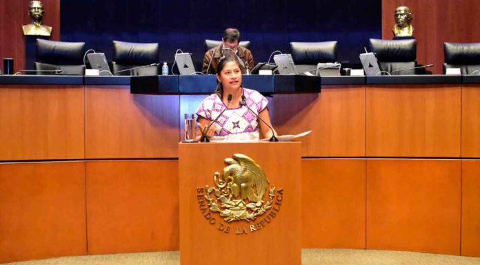 “La 4T cumple con apoyo constitucional a la juventud”: Celeste Ascencio