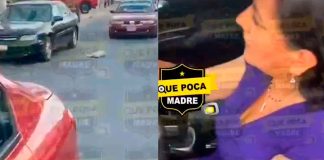 #Video | Grabaron a mujer que después de arrollar a un lomito no se hace responsable y se da a la fuga