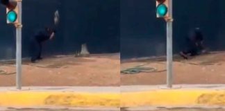 #Video | Empleado de car wash en Monterrey mata a tlacuache a golpes; sus amigos graban y se ríen