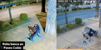 #VIDEO | Roban banca en Toluca en tres pasos: cámara de seguridad capta el insólito delito