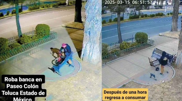 #VIDEO | Roban banca en Toluca en tres pasos: cámara de seguridad capta el insólito delito