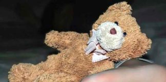 Bebé de un año muere a manos de su padrastro, ella fue golpeada y violada; la madre intentó encubrirlo #Internacional