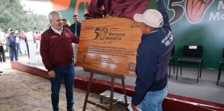 Bedolla celebra aumento de 99% de ocupación de la Monarca en bosques de Michoacán y México