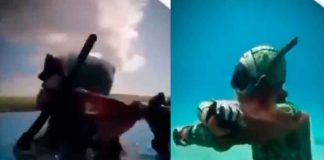 #VIDEO | Buzo es atacado por un pulpo tras invadir su hábitat, casi es asfixiado; su actuar desata polémica en redes