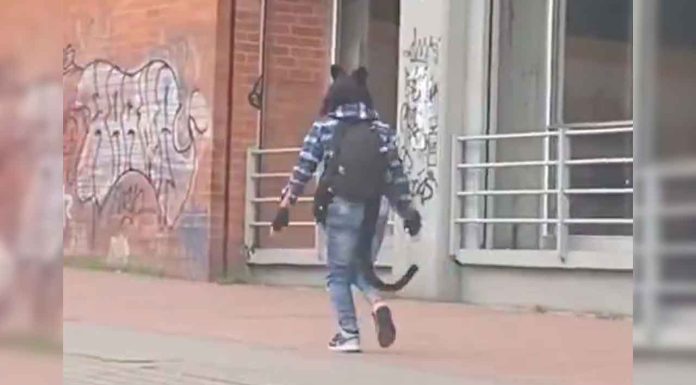 #Video | Graban a joven mientras corría con unos accesorios bastante llamativos; el momento se viralizó en redes